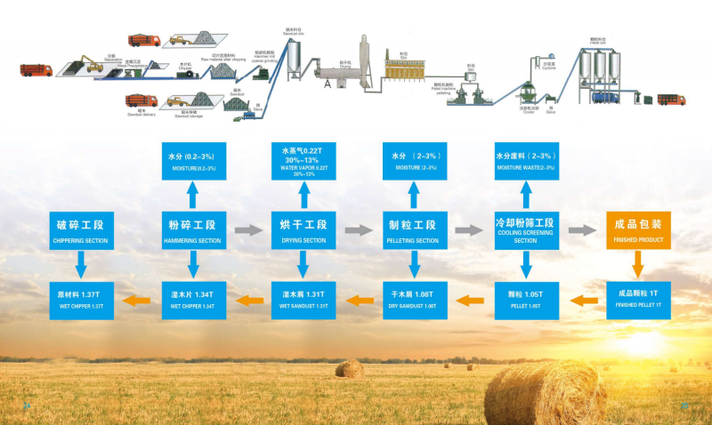 优直播宣传册_13 - 副本.png